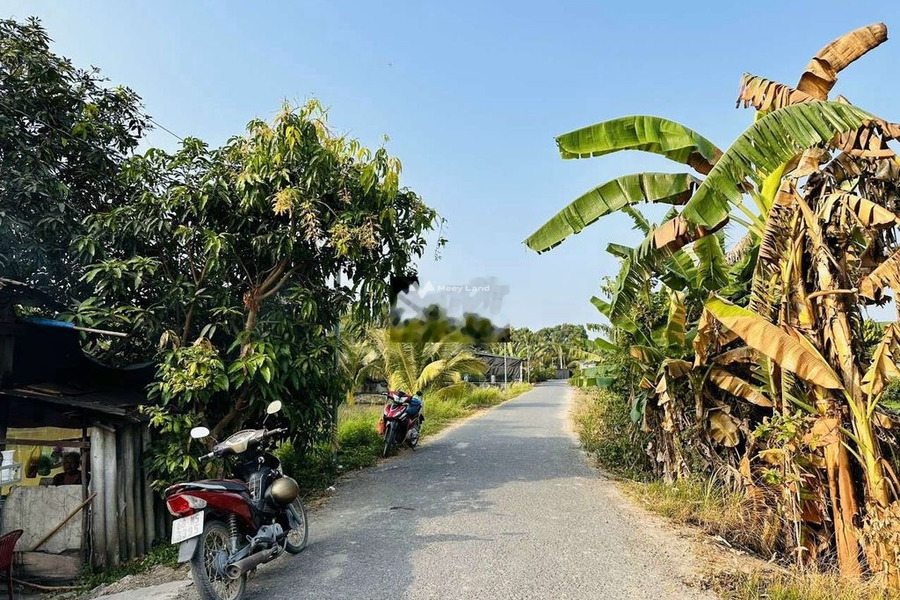 Phú Quới, Vĩnh Long bán đất giá hấp dẫn từ 599 triệu, hướng Tây Bắc có diện tích thực 8999m2-01