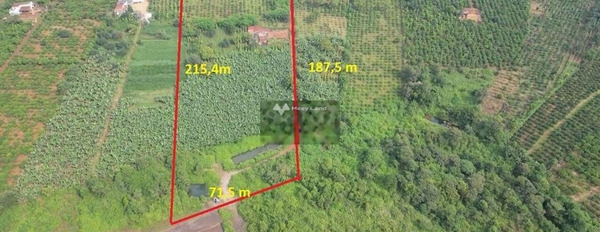 Trần Nhân Tông, Gia Lai bán đất giá siêu ưu đãi từ 1.9 tỷ, hướng Đông diện tích rộng lớn 18000m2-02