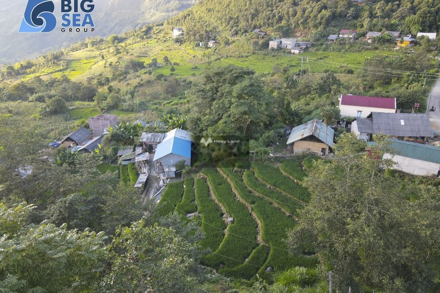 Bán mảnh đất trung tâm Y Tý, 194m2 thuộc thôn Ngải Trồ, Y Tý-01