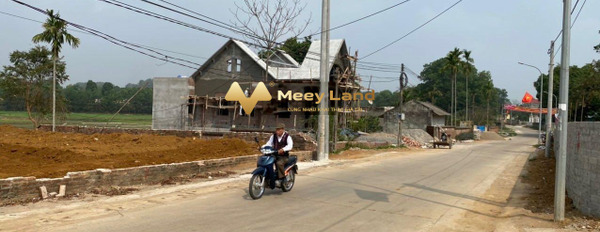 Bán đất 1.93 tỷ Thị Xã Sơn Tây, Hà Nội Diện tích đất 193.4 m2-03
