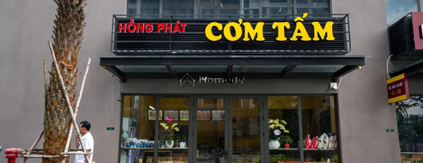 155m2 cho thuê shophouse nằm ở Thạnh Xuân, Hồ Chí Minh liên hệ liền-02