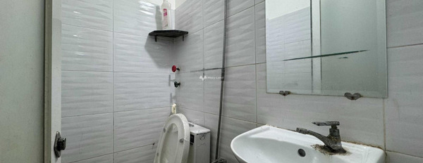 Nguyễn Công Trứ, Hồ Chí Minh diện tích 20m2 1 phòng ngủ cho thuê phòng trọ, 1 WC giá rẻ bất ngờ-02