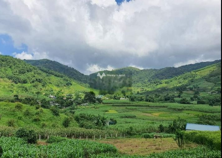 Phía trong Hợp Phong, Cao Phong bán đất giá bán khủng chỉ 18.34 tỷ diện tích chung quy 2866m2-01