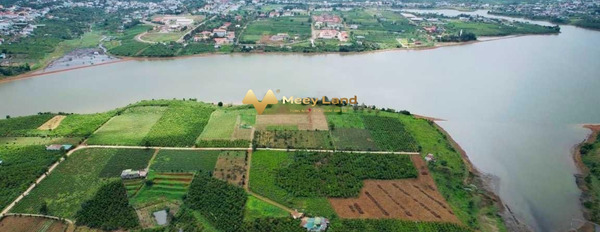 Bán đất có diện tích chuẩn 250m2 vị trí đẹp ở Lộc Thắng, Bảo Lâm-02