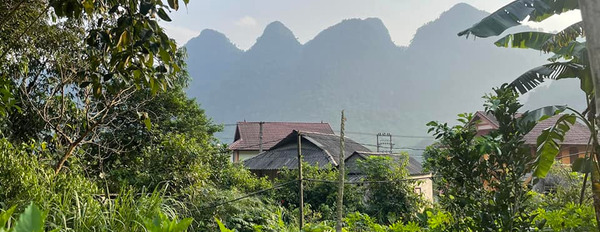 Nhà mình cần bán mảnh đất tại Phú Cường, Tân Lạc, Hoà Bình-02