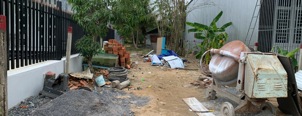 Chính chủ cần bán lô đất tại Xã Phú Hội (khu chợ chiều), Huyện Nhơn Trạch, Tỉnh Đồng Nai-03