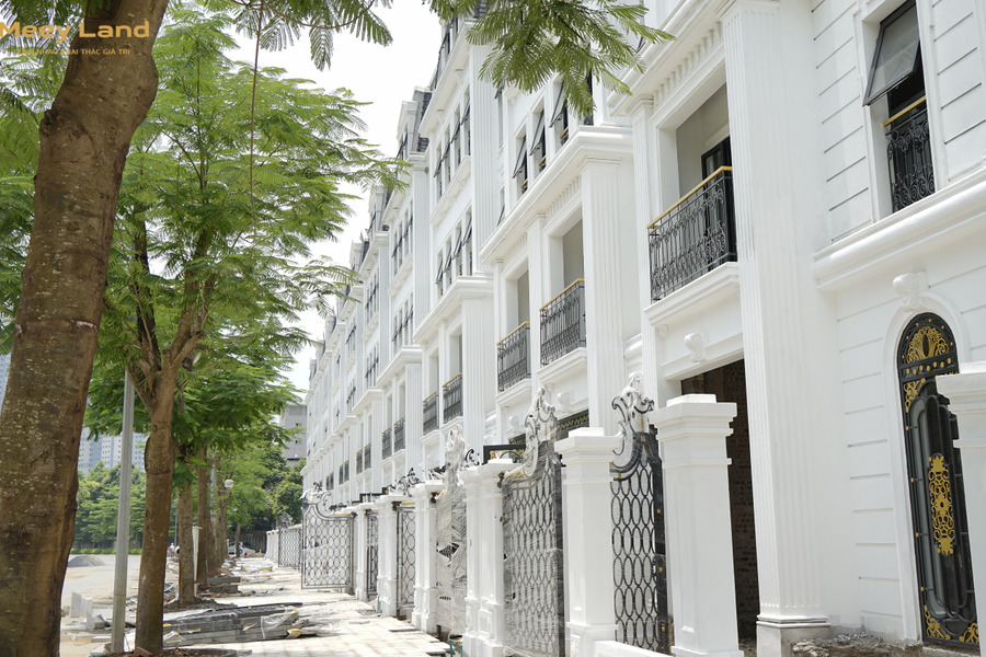 Biệt thự đơn lập phường Đại Kim - Hoàng Mai 139 triệu/m2, nhận nhà ngay-01