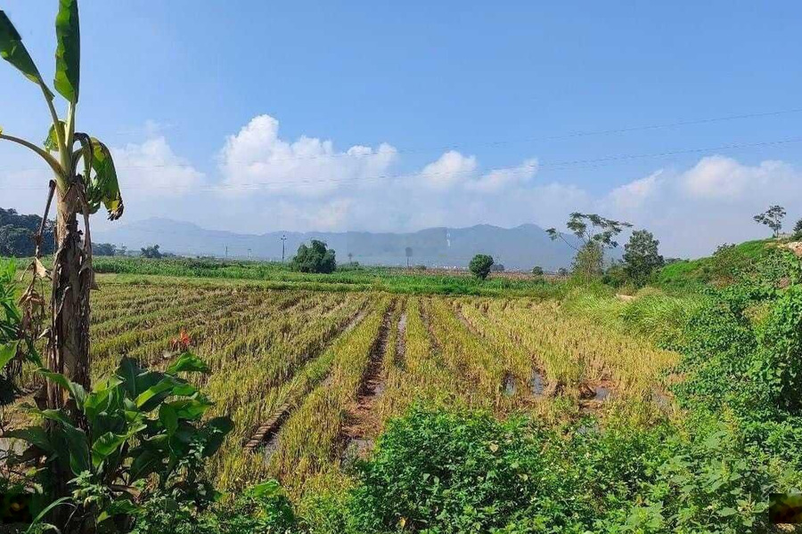 Bán đất tại xã Khánh Thượng, Ba Vì, Hà Nội diện tích 720m2 giá hợp lý view cánh đồng, LH 0971 274 *** -01