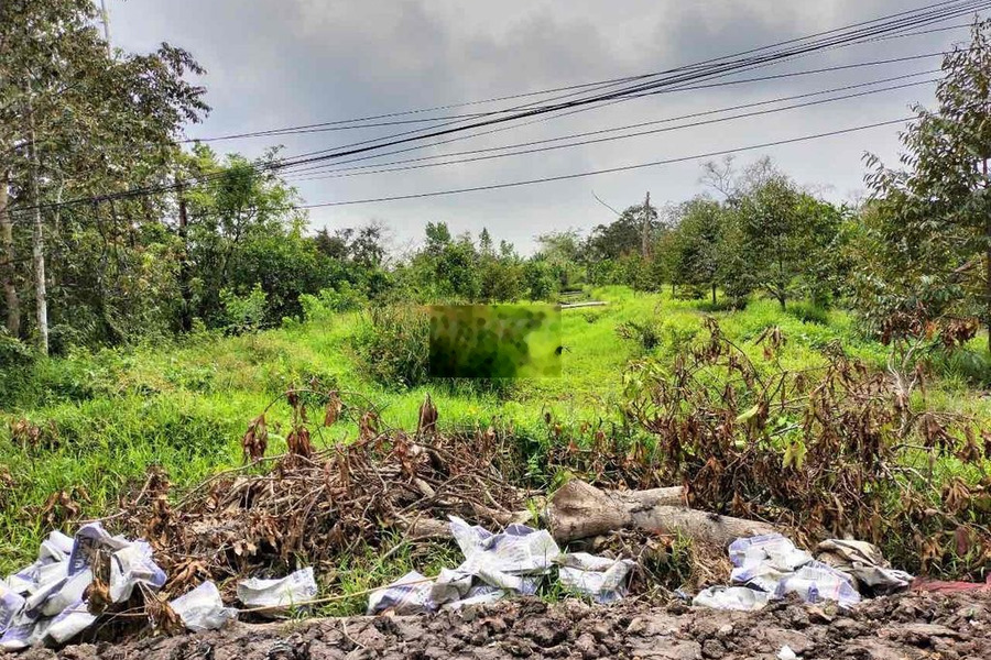 đất thuộc Giai Xuân Phong Điền tp Cần Thơ (cách tt PĐ) 2,5km -01