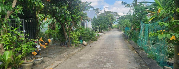 Cần bán đất huyện Núi Thành, Quảng Nam giá 1,8 tỷ-02