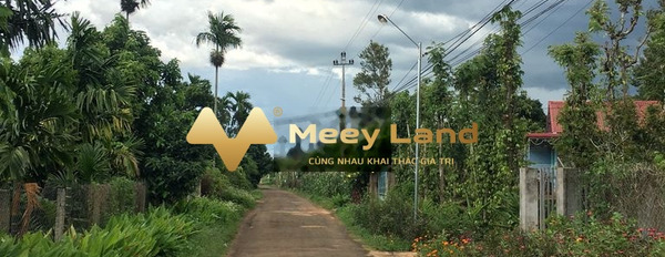 Ở Ea Ning, Đắk Lắk bán đất 500 triệu dt 500 m2-02