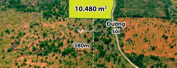 Giá bất ngờ 2.2 tỷ bán đất có diện tích tổng là 10480m2 vị trí đặt tọa lạc gần Hòa Thắng, Bình Thuận-02