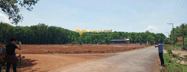 Bán đất tại Huyện Đồng Phú, Tỉnh Bình Phước, 710 triệu, 250m2-03