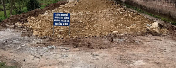 Bán mảnh đất tại xã Trác Văn, thị xã Duy Tiên, Hà Nam-02