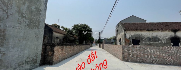 Vĩnh Hồng, Bình Giang 850 triệu bán đất Có tổng diện tích 71m2-02