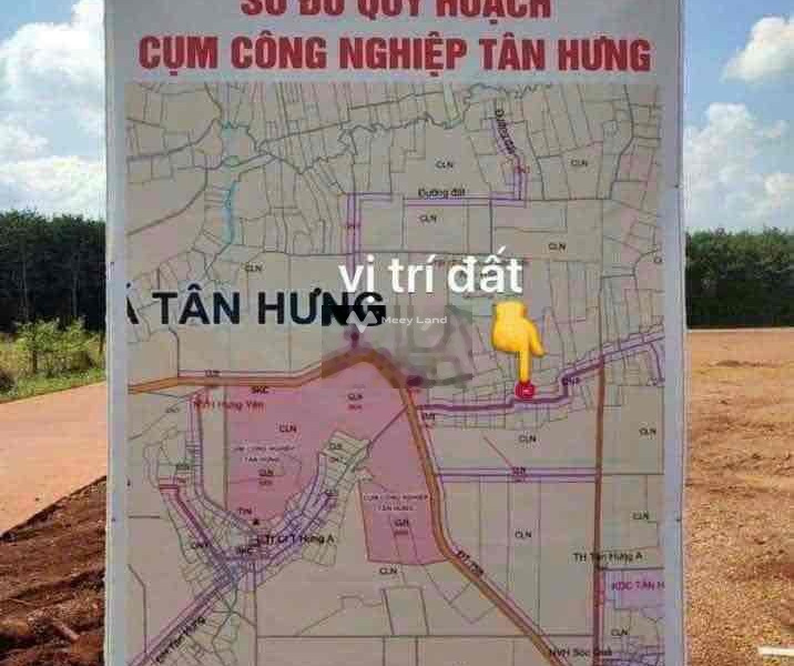 Tọa lạc trên Tân Hưng, Bình Phước bán đất, giá thỏa thuận 200 triệu diện tích rộng lớn 260m2-01