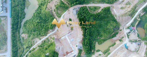 Bận kinh doanh cần bán đất Cao Lộc, Lạng Sơn giá cực rẻ 900 triệu diện tích chung 100 m2-03