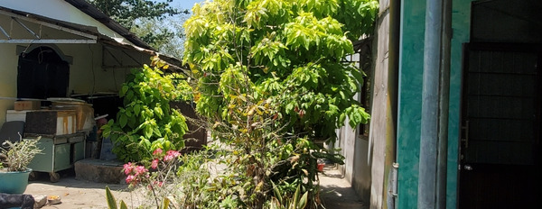 Chính chủ gửi bán gấp đất vườn tặng kèm nhà cấp 4 nội ô thành phố Trà Vinh-02