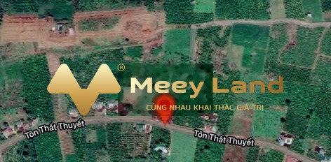 Bán đất vị trí thuận lợi tọa lạc ở Tôn Thất Thuyết, Bảo Lộc-02