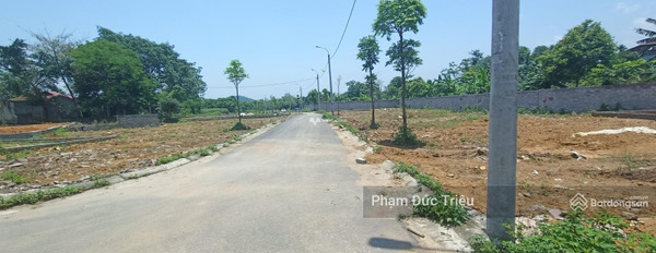Vị trí ngay tại Tiến Xuân, Hà Nội bán đất giá bán mua liền từ 1.7 tỷ diện tích rộng rãi 106m2-02