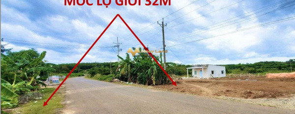 Bán đất tại xã Phước Bình, Đồng Nai. Diện tích 3300m2, giá 8,91 tỷ-02