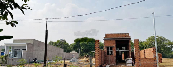 Bán gấp miếng đất ngợp 120m2,giá 350tr tại xã Bàu Đồn,Gò Dầu,Tây Ninh -03