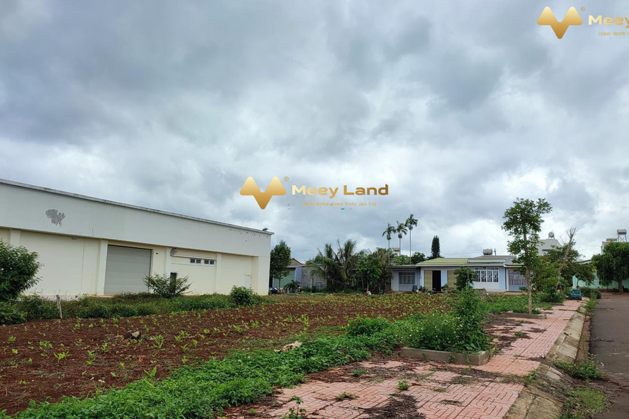 Buôn Hồ, Đắk Lắk bán đất giá cực rẻ chỉ 899 triệu diện tích mặt tiền 150 m2-01