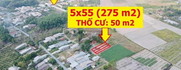 Giá gốc chỉ 430 triệu bán đất diện tích chung là 265m2 vị trí đẹp tọa lạc ngay tại Phước Đông, Gò Dầu-03