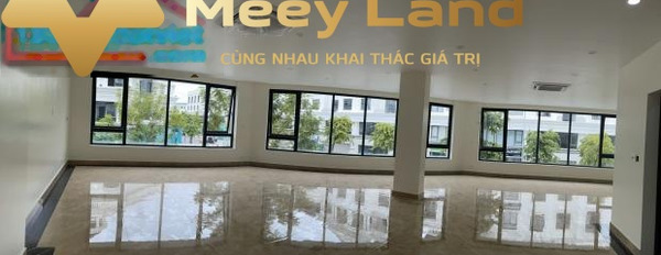 Cho thuê biệt thự vị trí đặt tọa lạc ở Phường Vĩnh Niệm, Quận Lê Chân giá thuê đề xuất chỉ 70 triệu/tháng với tổng diện tích 200 m2, trong nhà bao gồm...-02