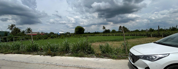 Đất thổ mặt tiền đường Lộ Dừa Vĩnh Công - 5.5 x 30m - 1 tỷ 150 triệu. (Có 3 lô liền kề) -03