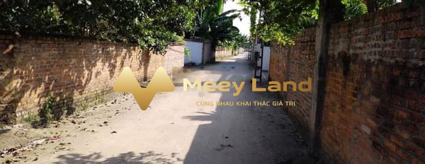 Nằm trong mức 455 triệu bán đất diện tích thực tế 130 m2 vị trí đặt ở tại Xã Xuân Phú, Tỉnh Bắc Giang-02