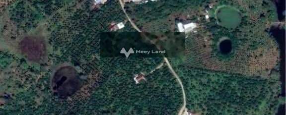 Vị trí ngay tại Phú Lập, Tân Phú bán đất giá bán mua ngay 750 triệu diện tích rộng 3279m2-02
