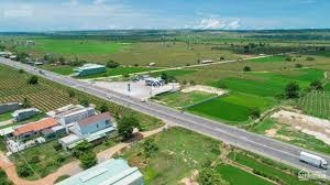 Ảnh hưởng dịch bán mảnh đất, 10000m2 giá bán mềm từ 950 triệu vị trí tại Bắc Bình, Bình Thuận vui lòng liên hệ để xem trực tiếp-03