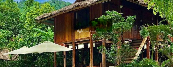 Cần sang nhương homestay tại Mai Châu, Hòa Bình, diện tích 1.2ha lh để xem ngay-03