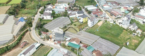 Tô Hiệu, Lâm Đồng bán đất giá bán thương lượng chỉ 11.5 tỷ, hướng Tây Nam với diện tích là 257m2-02