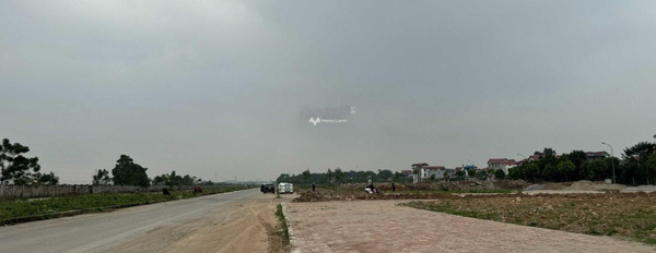 Vị trí mặt tiền tọa lạc ngay Sóc Sơn, Hà Nội bán đất diện tích thực khoảng 105m2-02