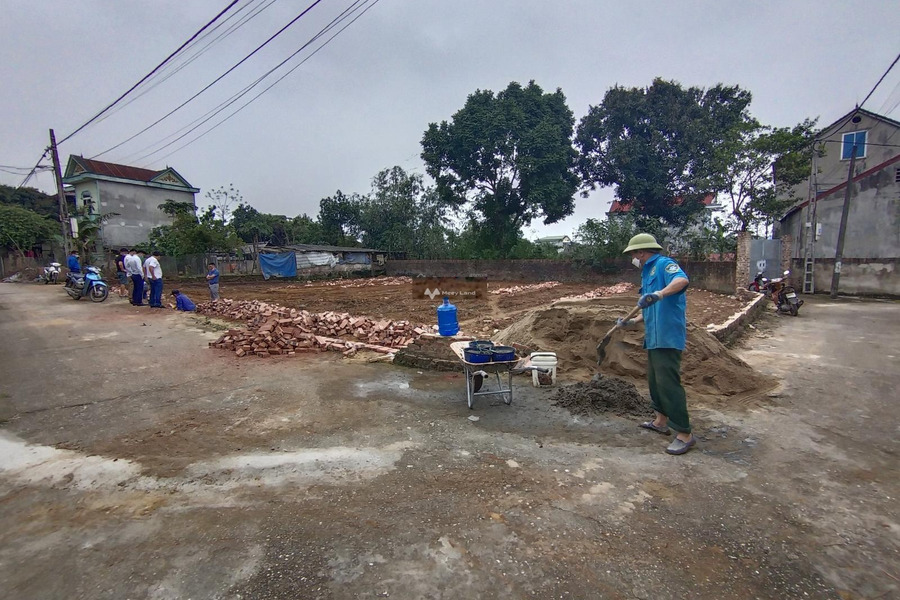 Bán đất giá 880 triệu, diện tích 80m2 mặt tiền nằm ngay trên Sóc Sơn, Hà Nội-01