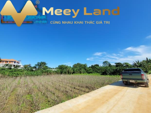 Chính chủ cần bán lô đất nghỉ dưỡng ven đalat 558m2 có 100m thổ cư lh biết chi tiết-01