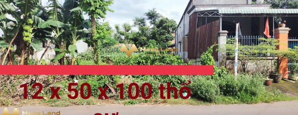 Xã Sông Xoài, Thị Xã Phú Mỹ bán đất giá cạnh tranh chỉ 3.75 tỷ có dt là 595m2-03