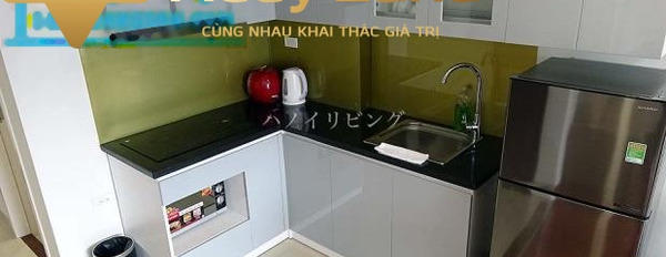 Bán căn hộ dịch vụ tại ngõ 106 Hoàng Quốc Việt, diện tích 120m2-03