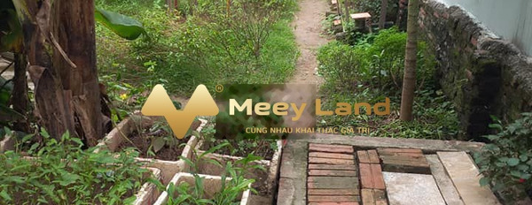 Tại Đường Quỳnh Đô, Hà Nội bán đất 2.05 tỷ dt tổng là 50 m2-02