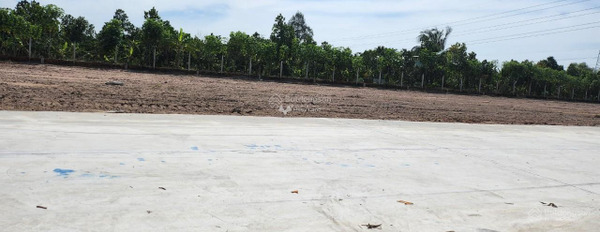 Phước Đông, Gò Dầu bán đất giá mua liền 750 triệu diện tích chung 135m2-03