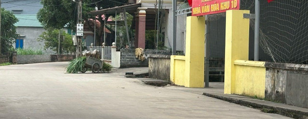 Bán đất tại Thanh Thủy, Phú Thọ. Diện tích 191m2-02