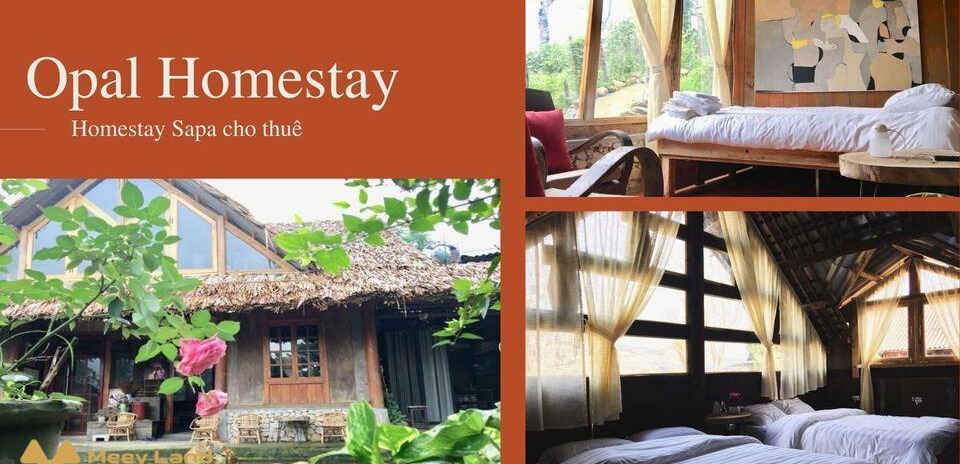 Cho thuê Opal Homestay