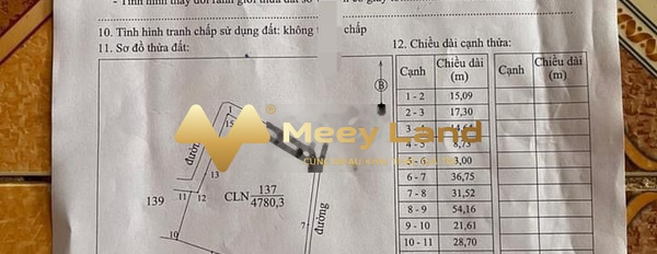 Đang cần tiền gấp bán đất Xã Láng Lớn, Huyện Châu Đức giá siêu rẻ chỉ 6.4 tỷ có dt chuẩn 4780 m2-02