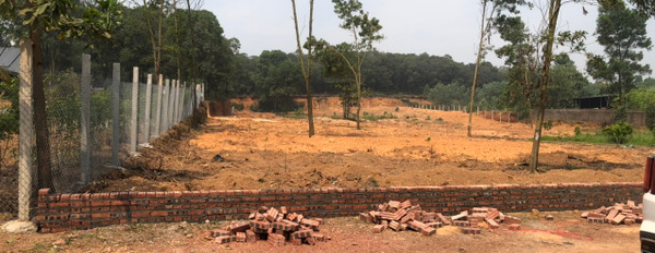 Chính chủ nhờ bán lô đất xây homestay tại Hiền Ninh, Sóc Sơn-02