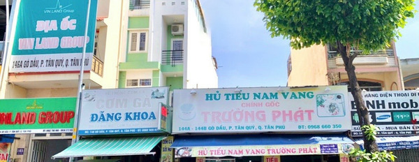 Mặt tiền Lũy Ban Bích, 500m2, giá 65 tỷ thương lượng-03