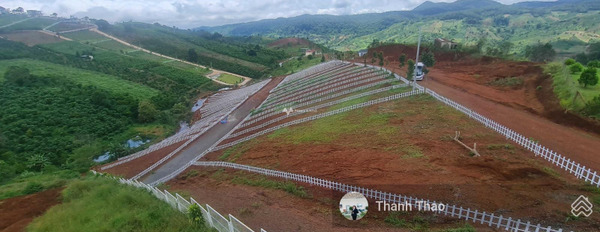 Bán đất diện tích khoảng 180m2 vị trí đặt ngay Lý Thái Tổ, Bảo Lâm-03