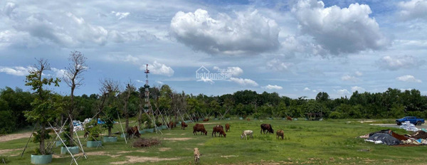 Đang làm ăn lớn bán đất Long Thuận, Quận 9 với diện tích rộng 9000m2-03