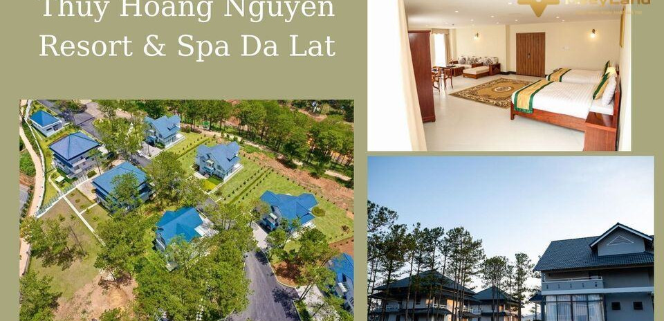 Cho thuê Thuy Hoang Nguyen Resort & Spa